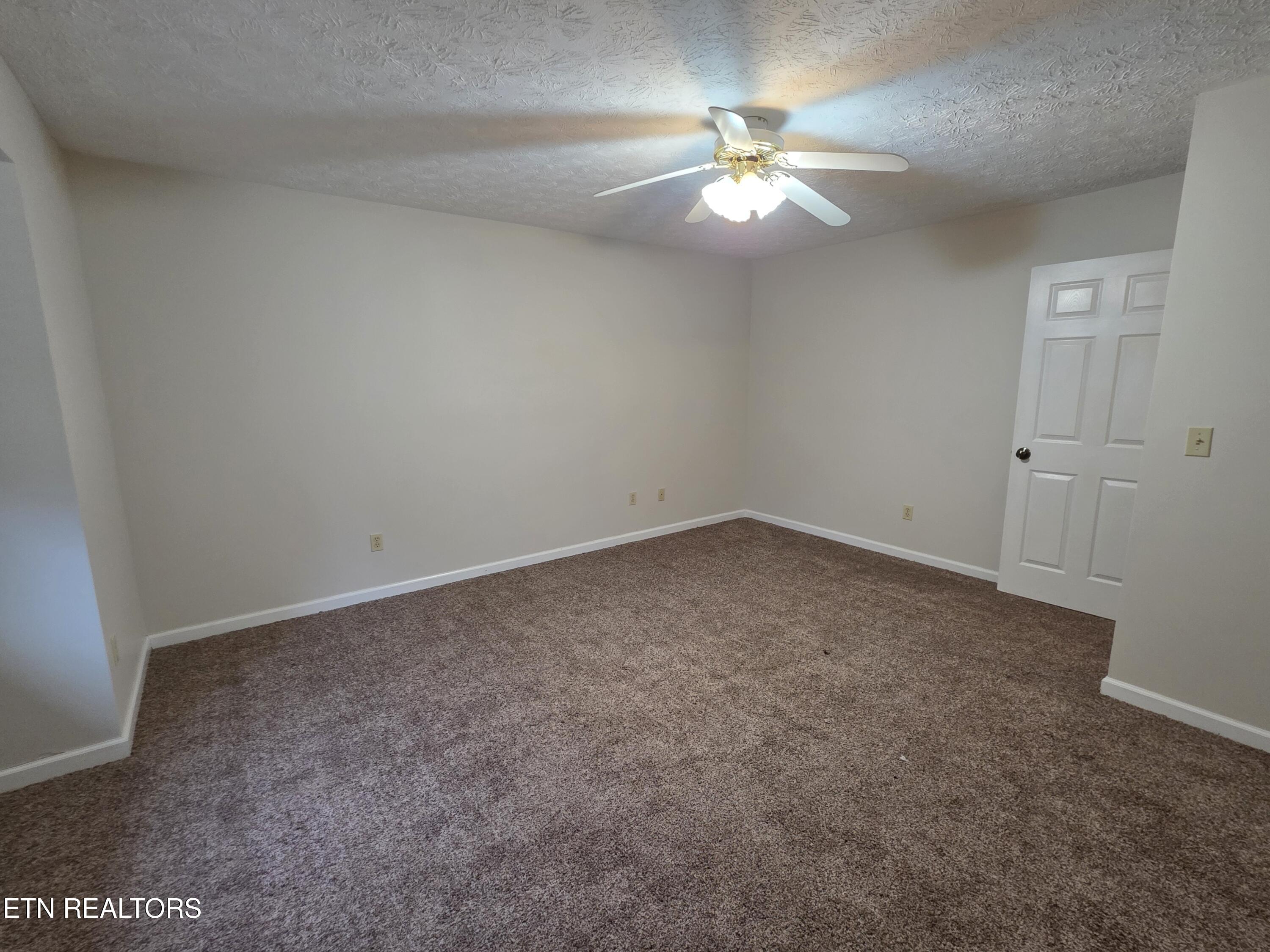 2474 New Lake Road Spring City, TN 37381 - Photo 13 of 15 1000014005