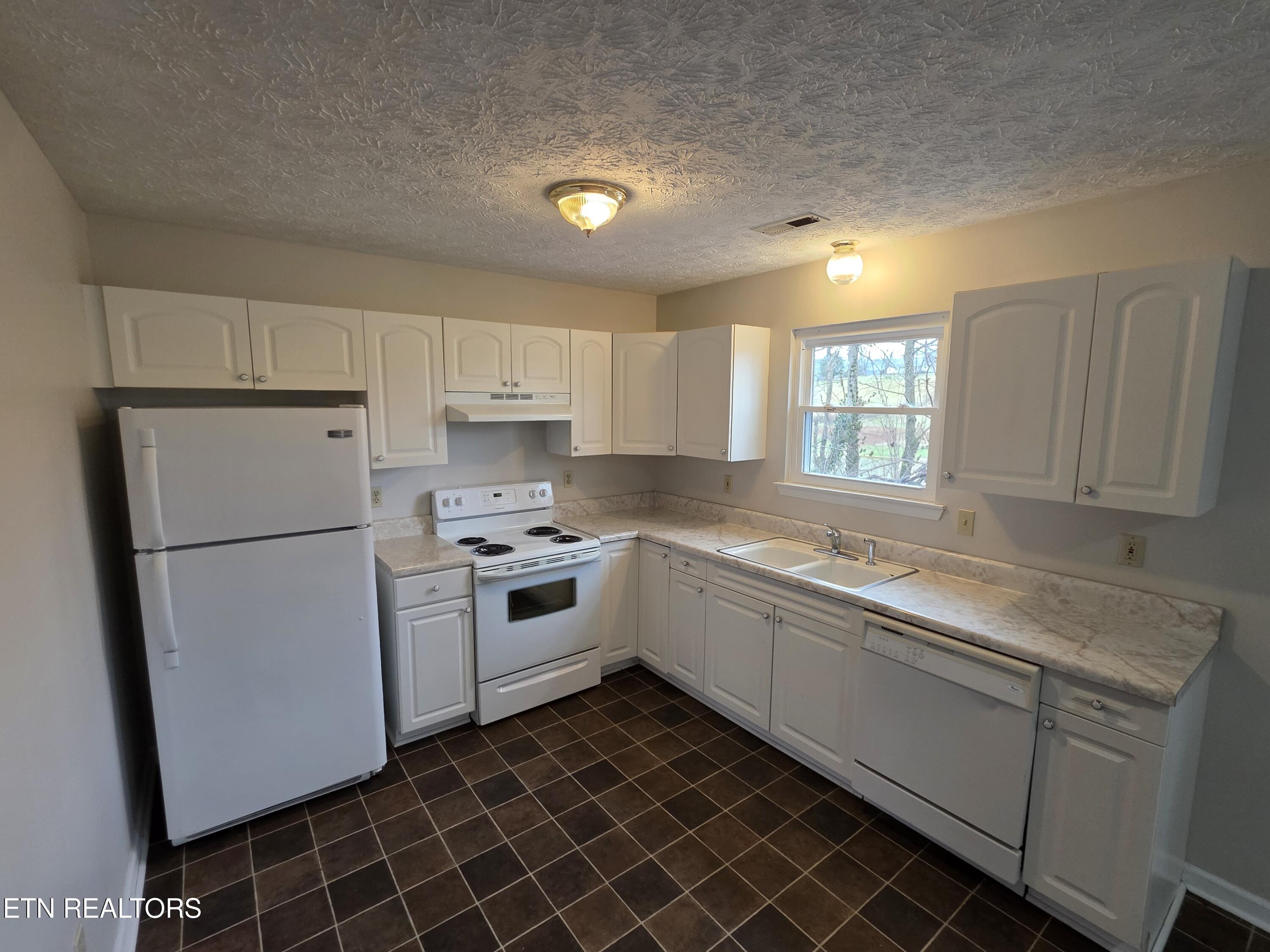 2474 New Lake Road Spring City, TN 37381 - Photo 6 of 15 1000013997