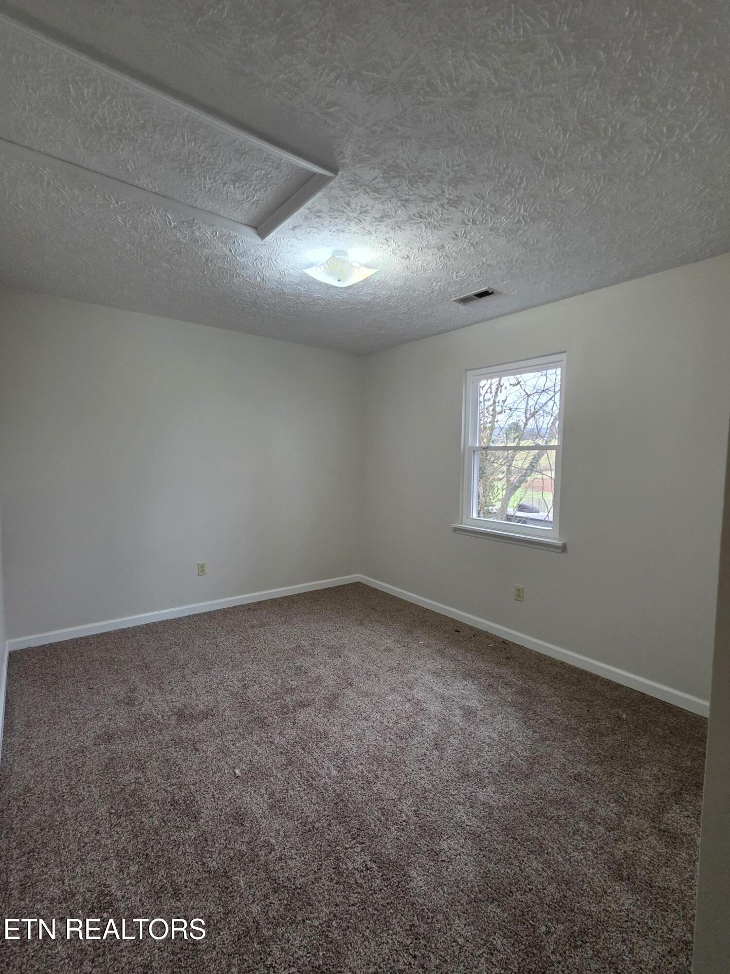 2474 New Lake Road Spring City, TN 37381 - Photo 9 of 15 1000014000