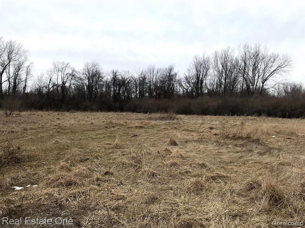 0 East Romeo Road Leonard, MI 48367 - Photo 1 of 5 Gallery Image 1