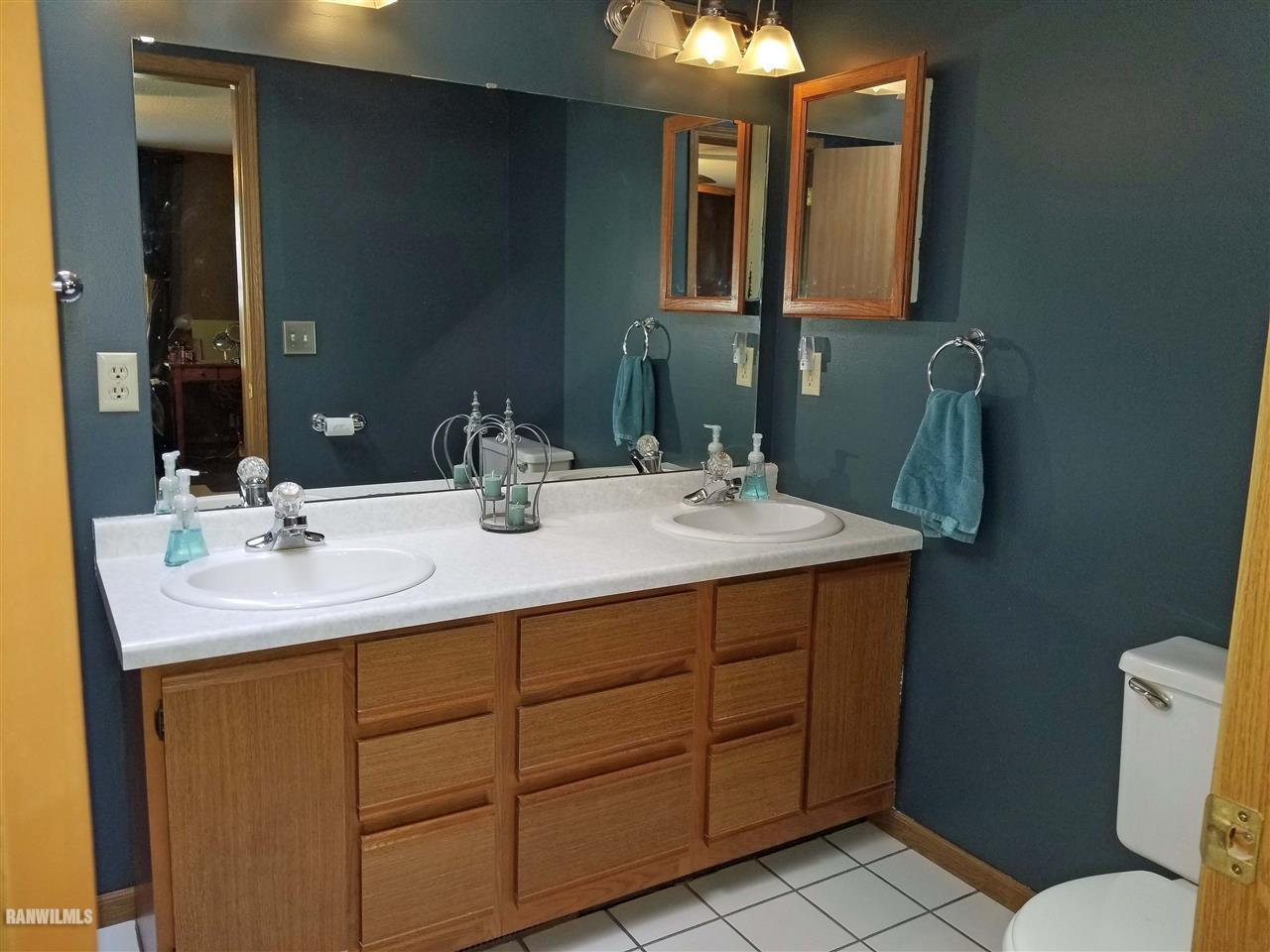 202 West Division Road Shannon, IL 61078 - Photo 12 of 14 a bathroom with a double vanity sink and a mirror