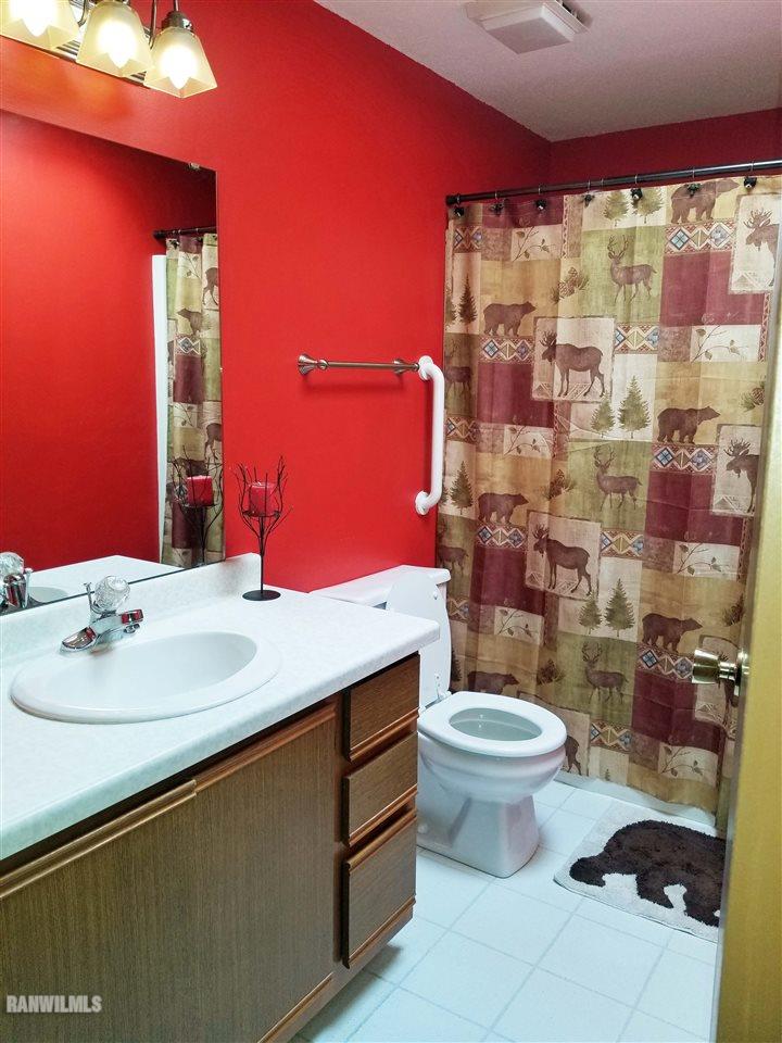 202 West Division Road Shannon, IL 61078 - Photo 3 of 14 a bathroom with a sink vanity mirror and toilet