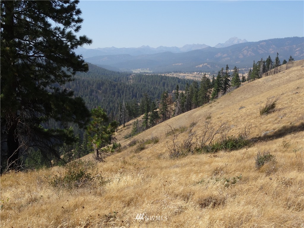 1-a Xxx Raptor Ridge Road Cle Elum, WA 98922 - Photo 1 of 12 Gallery Image 1