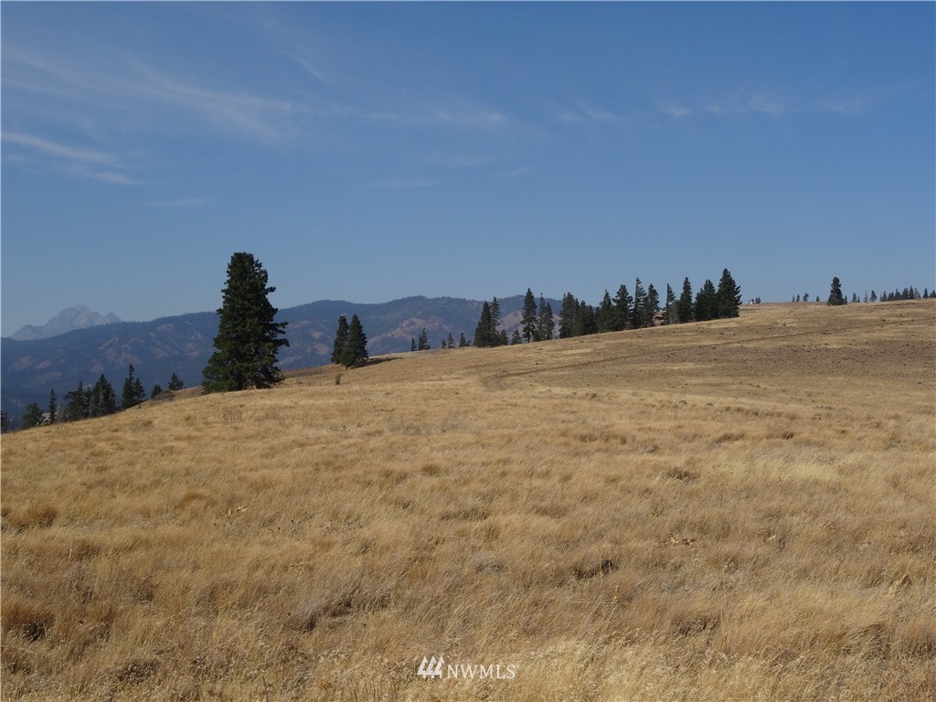 1-a Xxx Raptor Ridge Road Cle Elum, WA 98922 - Photo 3 of 12 Gallery Image 3