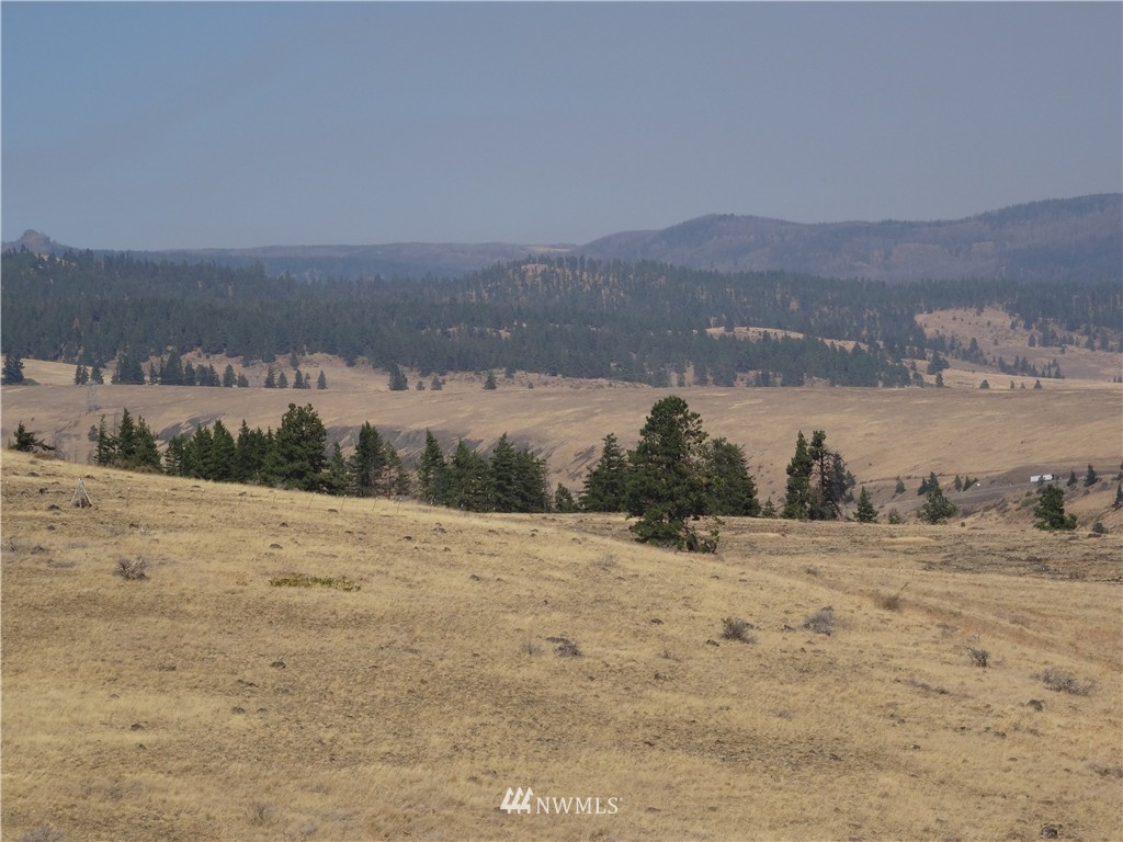 1-a Xxx Raptor Ridge Road Cle Elum, WA 98922 - Photo 4 of 12 Gallery Image 4
