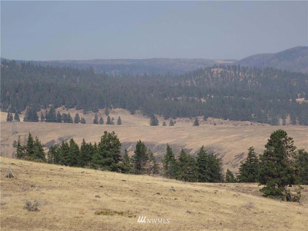 1-a Xxx Raptor Ridge Road Cle Elum, WA 98922 - Photo 5 of 12 Gallery Image 5