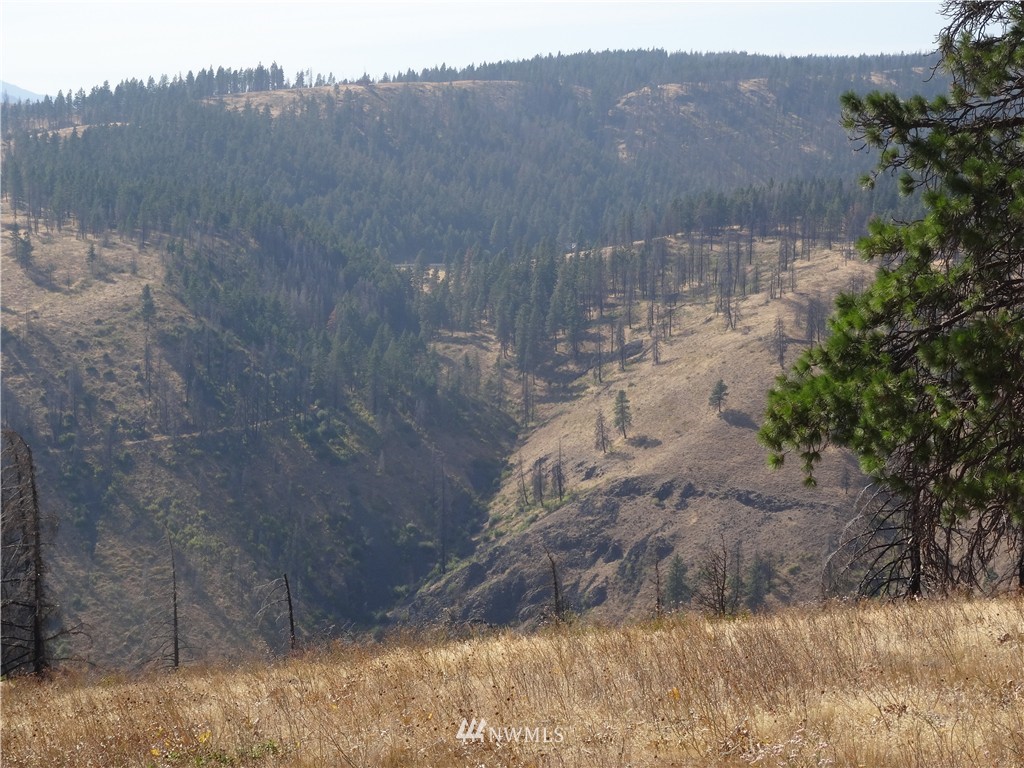 1-a Xxx Raptor Ridge Road Cle Elum, WA 98922 - Photo 7 of 12 Gallery Image 7