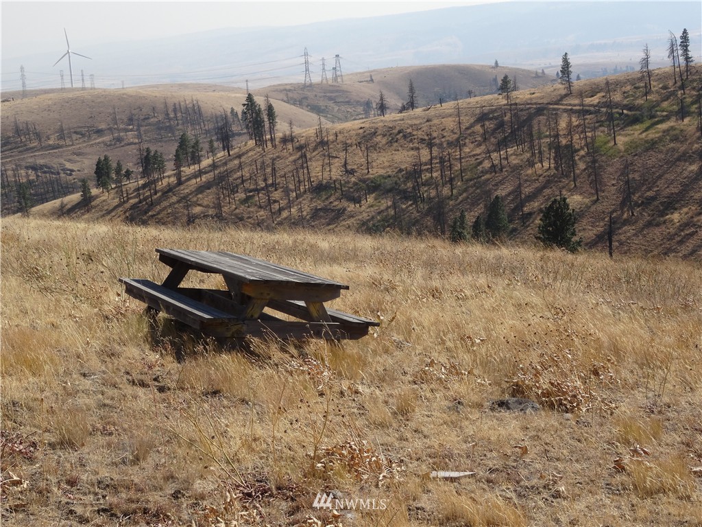1-a Xxx Raptor Ridge Road Cle Elum, WA 98922 - Photo 8 of 12 Gallery Image 8