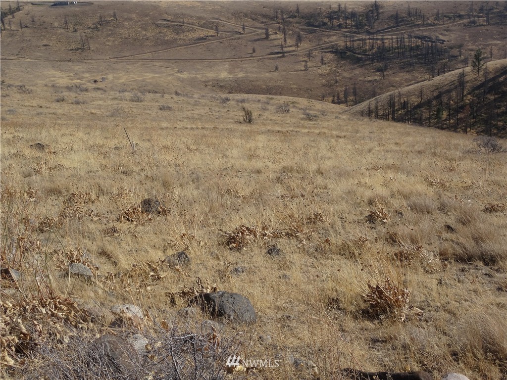 1-a Xxx Raptor Ridge Road Cle Elum, WA 98922 - Photo 9 of 12 Gallery Image 9