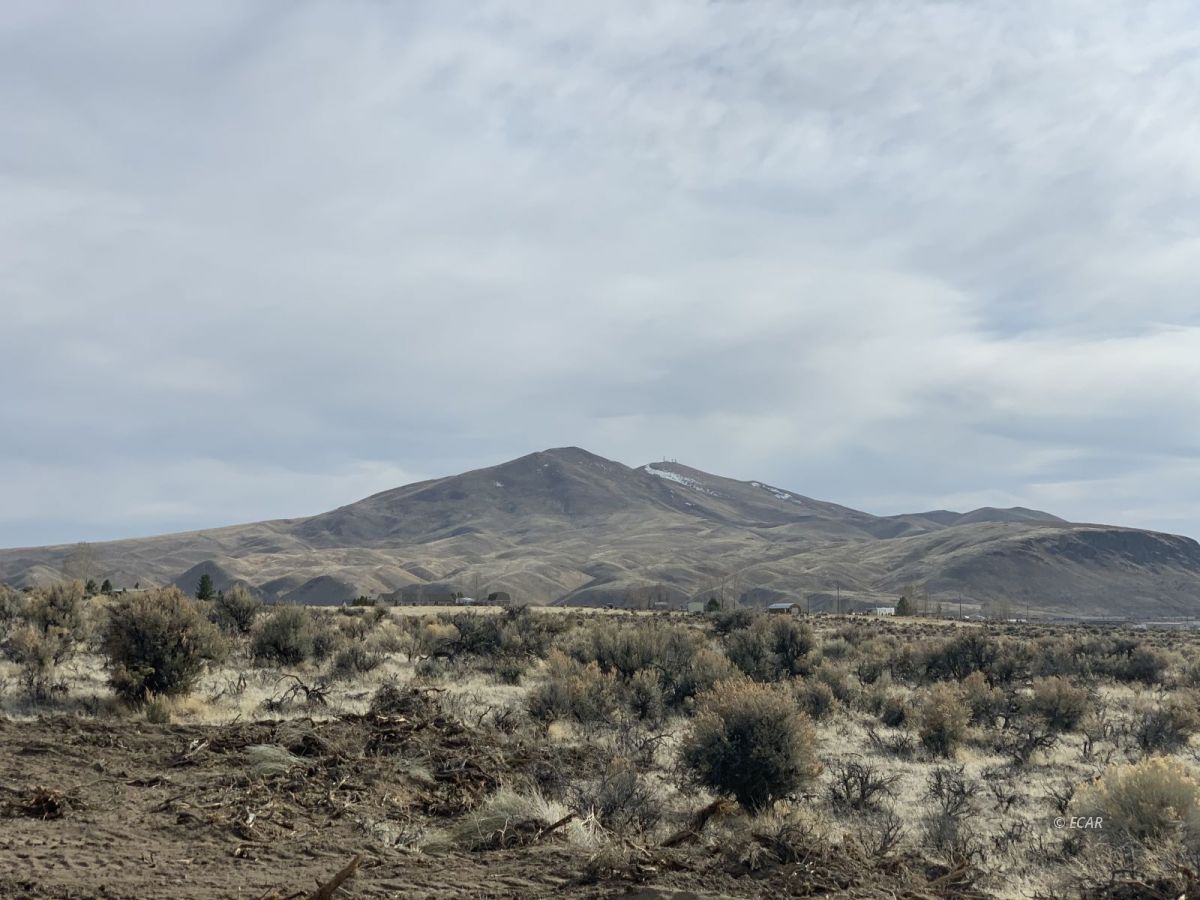 6675 Tyler Avenue Elko, NV 89801 - Photo 14 of 17