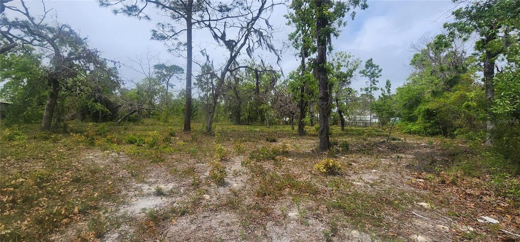 2228 Turkey Oak Road Perry, FL 32348 - Photo 27 of 76 a view of outdoor space and green space