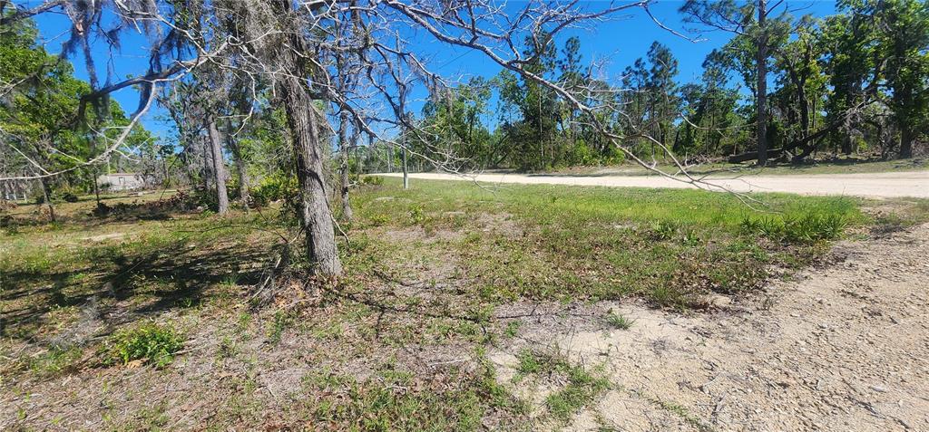 2228 Turkey Oak Road Perry, FL 32348 - Photo 50 of 76 a view of outdoor space with trees all around