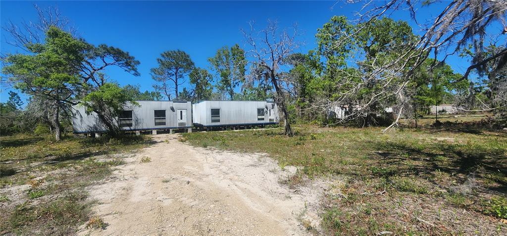 2228 Turkey Oak Road Perry, FL 32348 - Photo 54 of 76 a view of a yard with trees