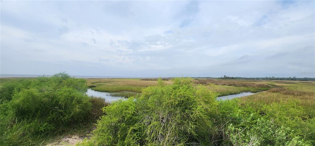 2228 Turkey Oak Road Perry, FL 32348 - Photo 56 of 76