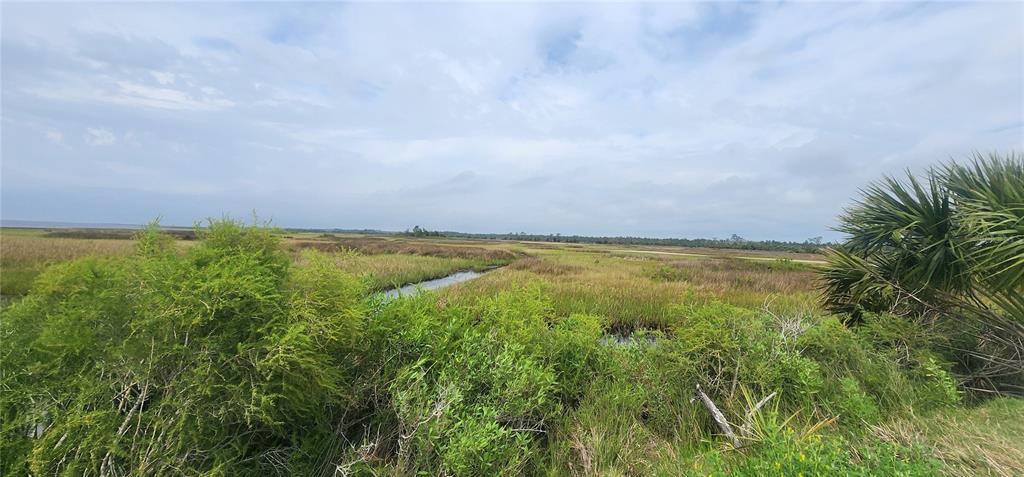 2228 Turkey Oak Road Perry, FL 32348 - Photo 57 of 76