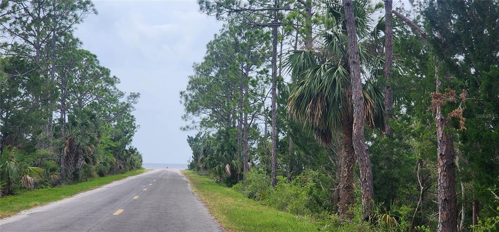 2228 Turkey Oak Road Perry, FL 32348 - Photo 64 of 76 a backyard of a house with lots of green space