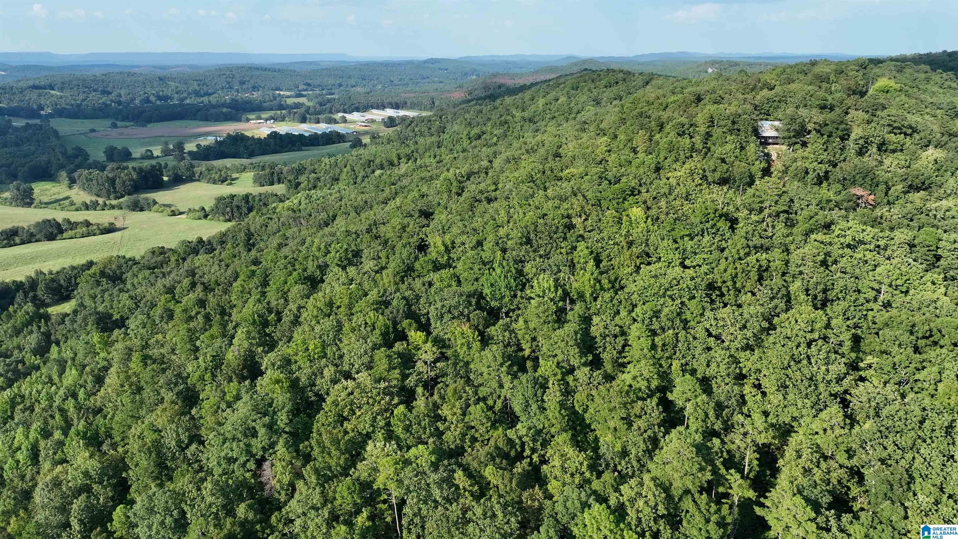 1849 Baker Road Ashville, AL 35953 - Photo 7 of 72 Gallery Image 7
