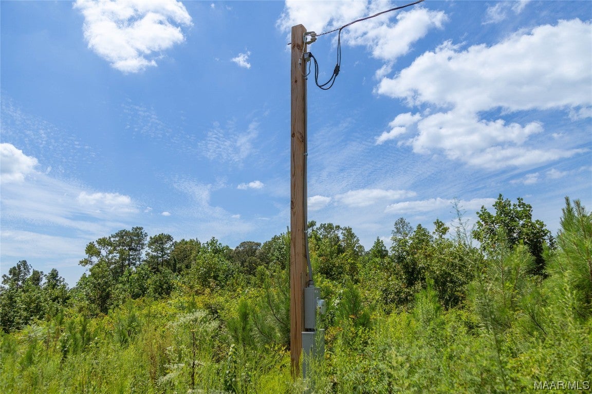 821 Landfill Road Ashland, AL 36251 - Photo 7 of 32 Gallery Image 7