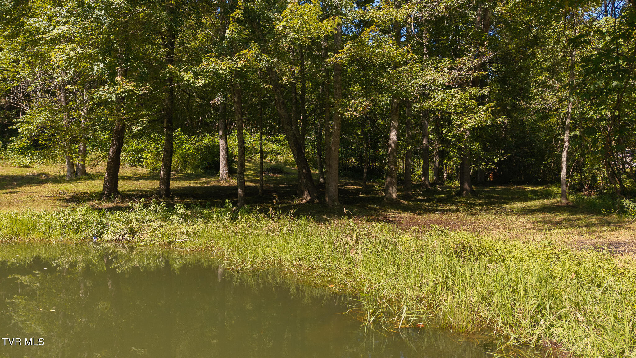 997 Miller Hollow Road Bean Station, TN 37708 - Photo 19 of 52 DJI_20250908145616_0036_D