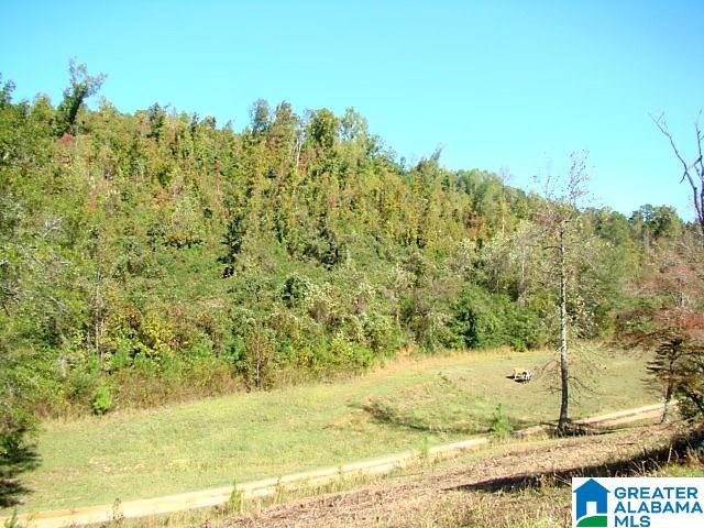 889 Hunter Road Ohatchee, AL 36271 - Photo 32 of 44