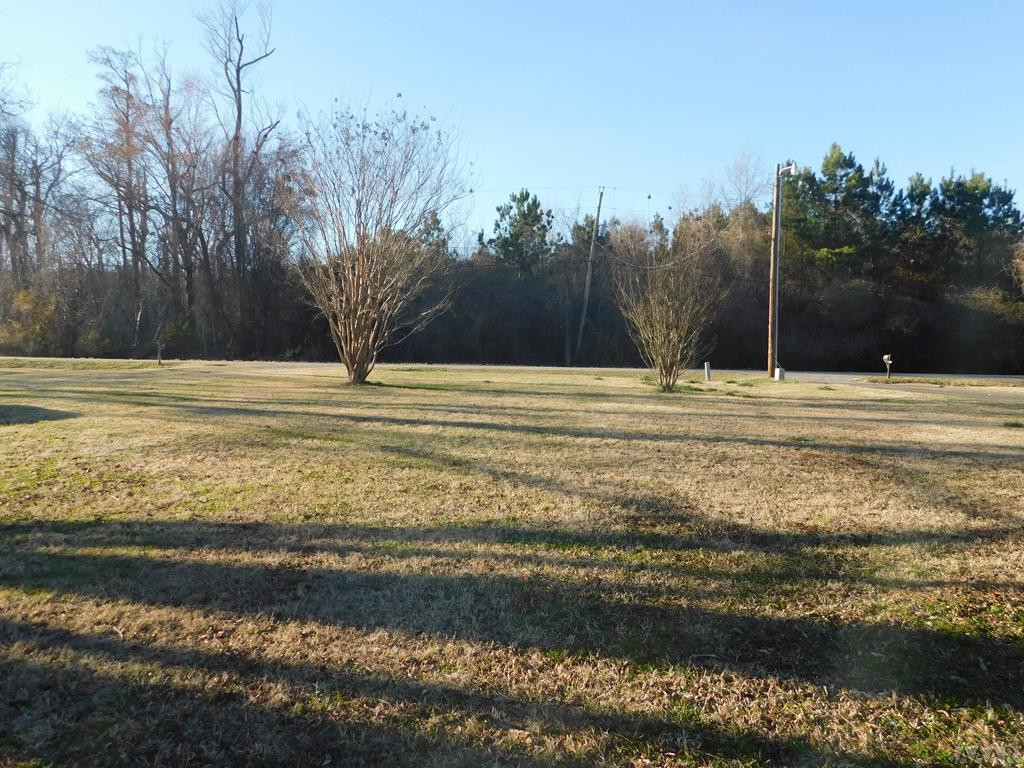 1052 Scott Road Elizabeth City, NC 27909 - Photo 4 of 25 VIEW LOOKING OUT FRONT DOOR