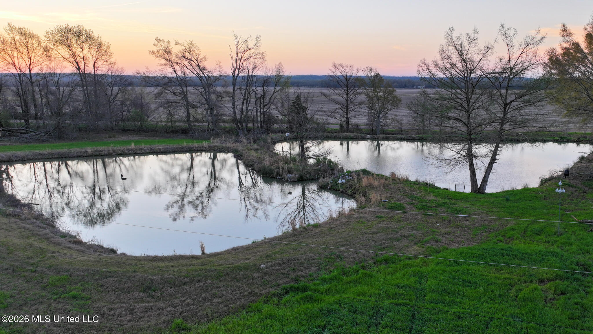 0 Dummyline Road Batesville, MS 38606 - Photo 14 of 73 Panola 164.7 SPI Land Ventures-14