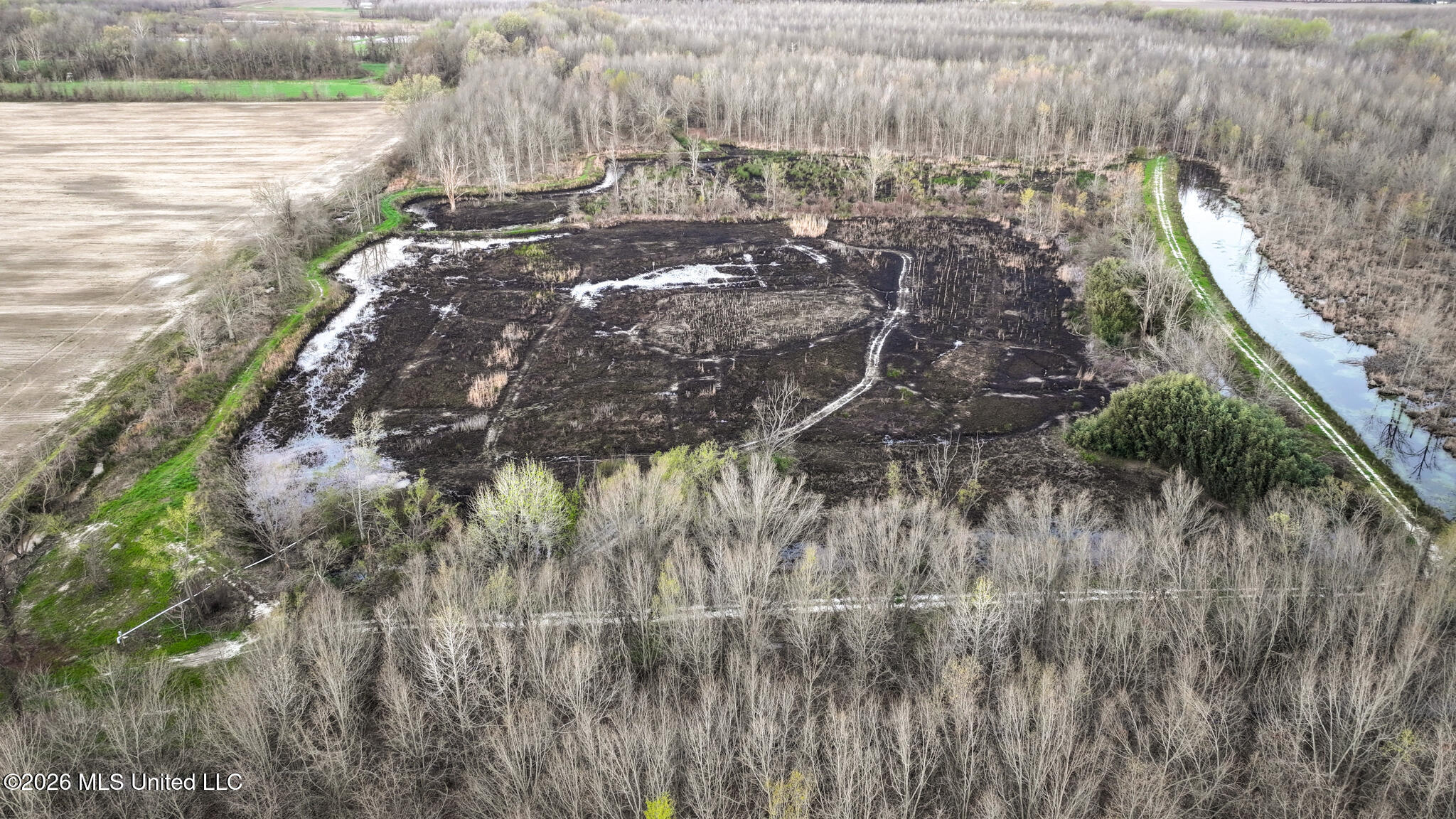 0 Dummyline Road Batesville, MS 38606 - Photo 40 of 73 Panola 164.7 SPI Land Ventures-40