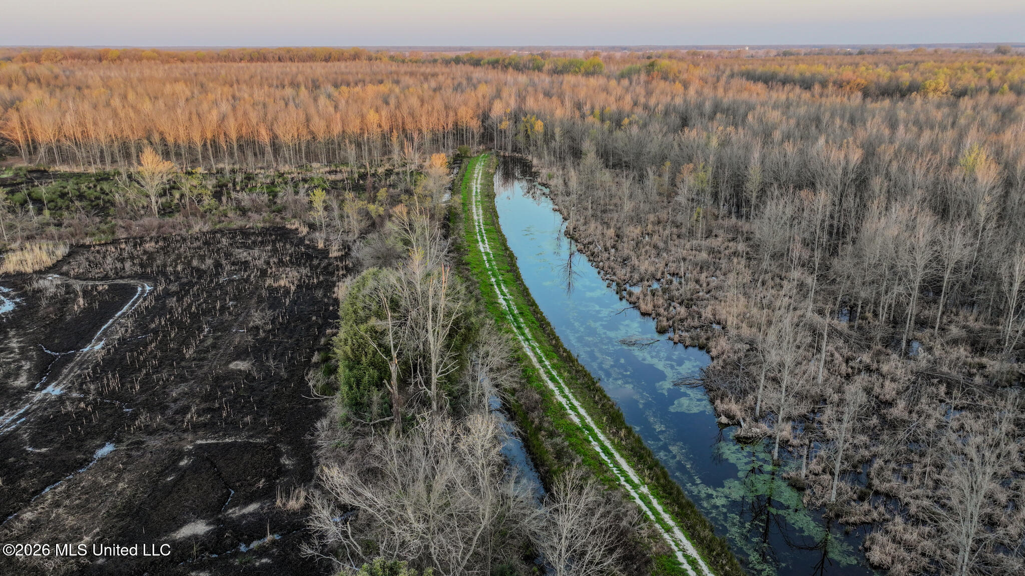 0 Dummyline Road Batesville, MS 38606 - Photo 42 of 73 Panola 164.7 SPI Land Ventures-42