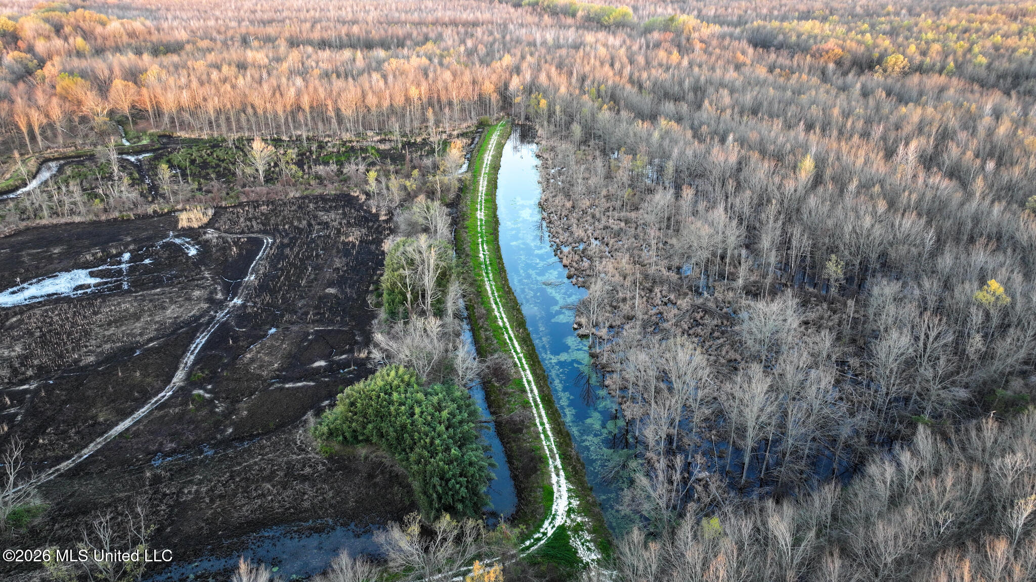 0 Dummyline Road Batesville, MS 38606 - Photo 43 of 73 Panola 164.7 SPI Land Ventures-43