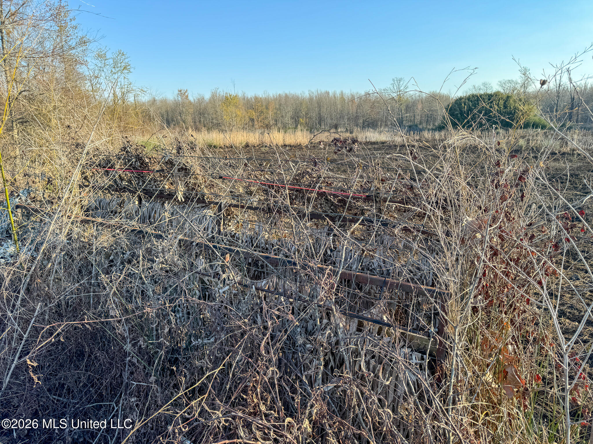 0 Dummyline Road Batesville, MS 38606 - Photo 44 of 73 Panola 164.7 SPI Land Ventures-44