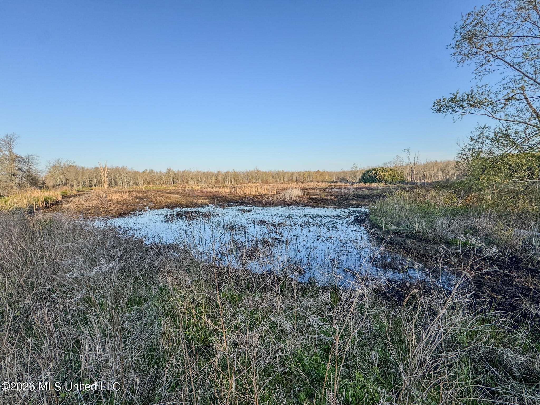 0 Dummyline Road Batesville, MS 38606 - Photo 45 of 73 Panola 164.7 SPI Land Ventures-45