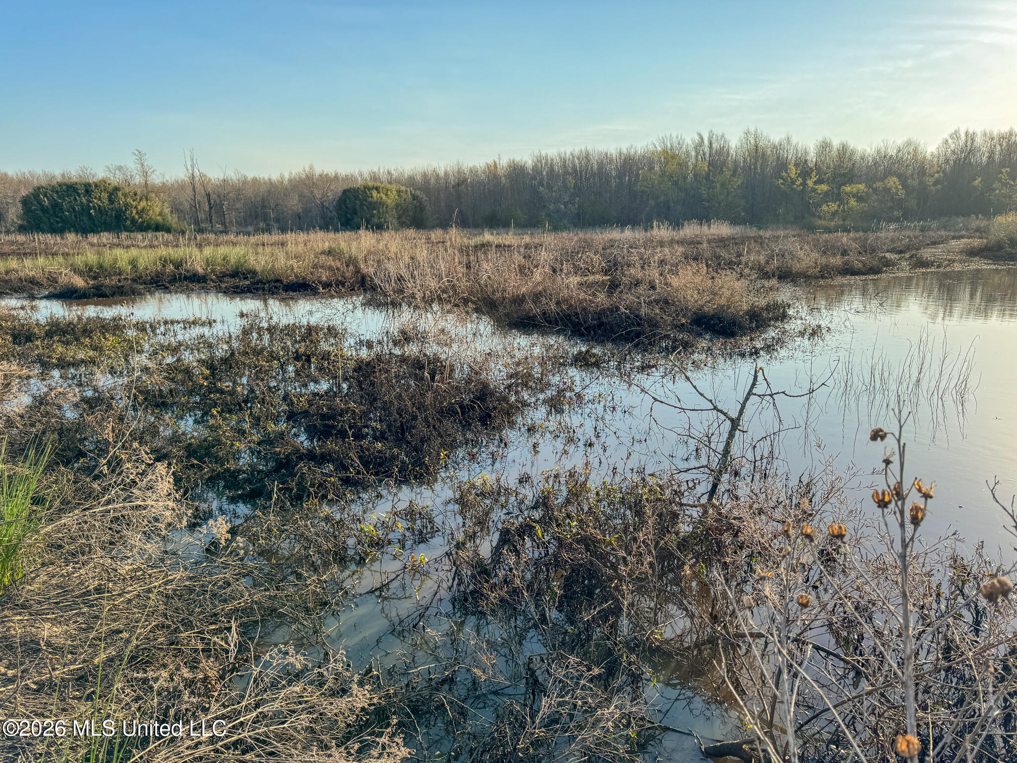 0 Dummyline Road Batesville, MS 38606 - Photo 46 of 73 Panola 164.7 SPI Land Ventures-46