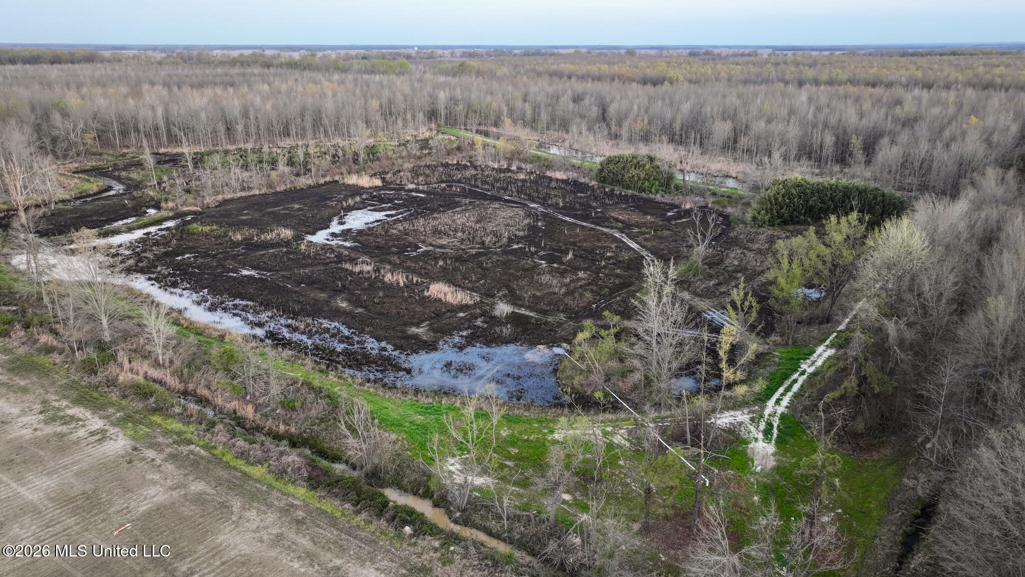 0 Dummyline Road Batesville, MS 38606 - Photo 47 of 73 Panola 164.7 SPI Land Ventures-47