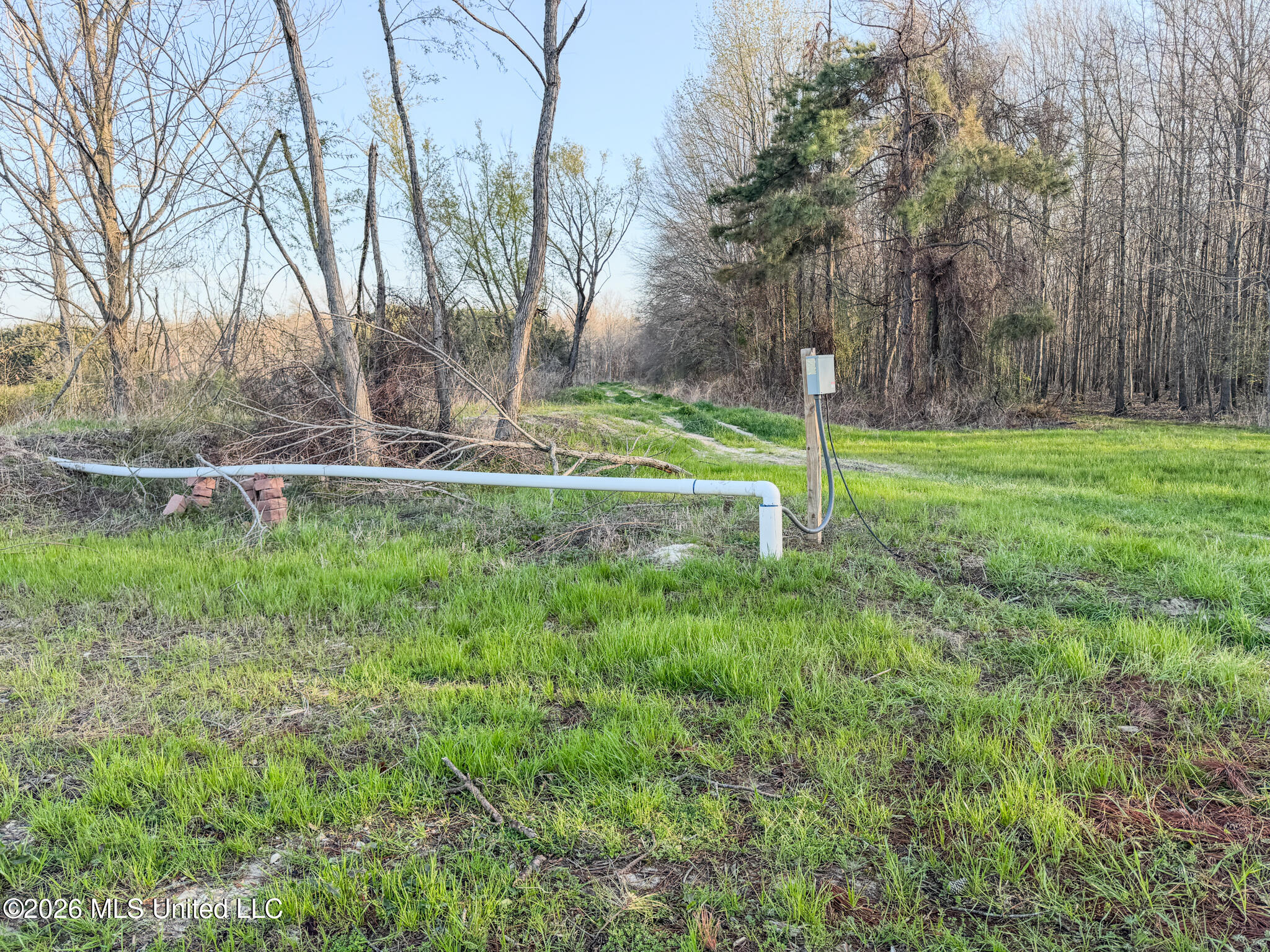 0 Dummyline Road Batesville, MS 38606 - Photo 48 of 73 Panola 164.7 SPI Land Ventures-48