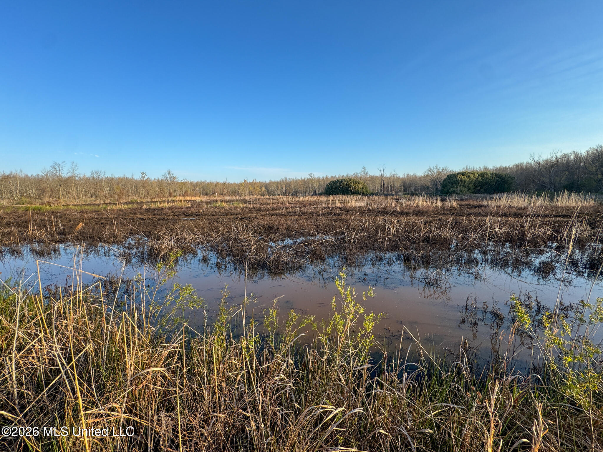0 Dummyline Road Batesville, MS 38606 - Photo 49 of 73 Panola 164.7 SPI Land Ventures-49