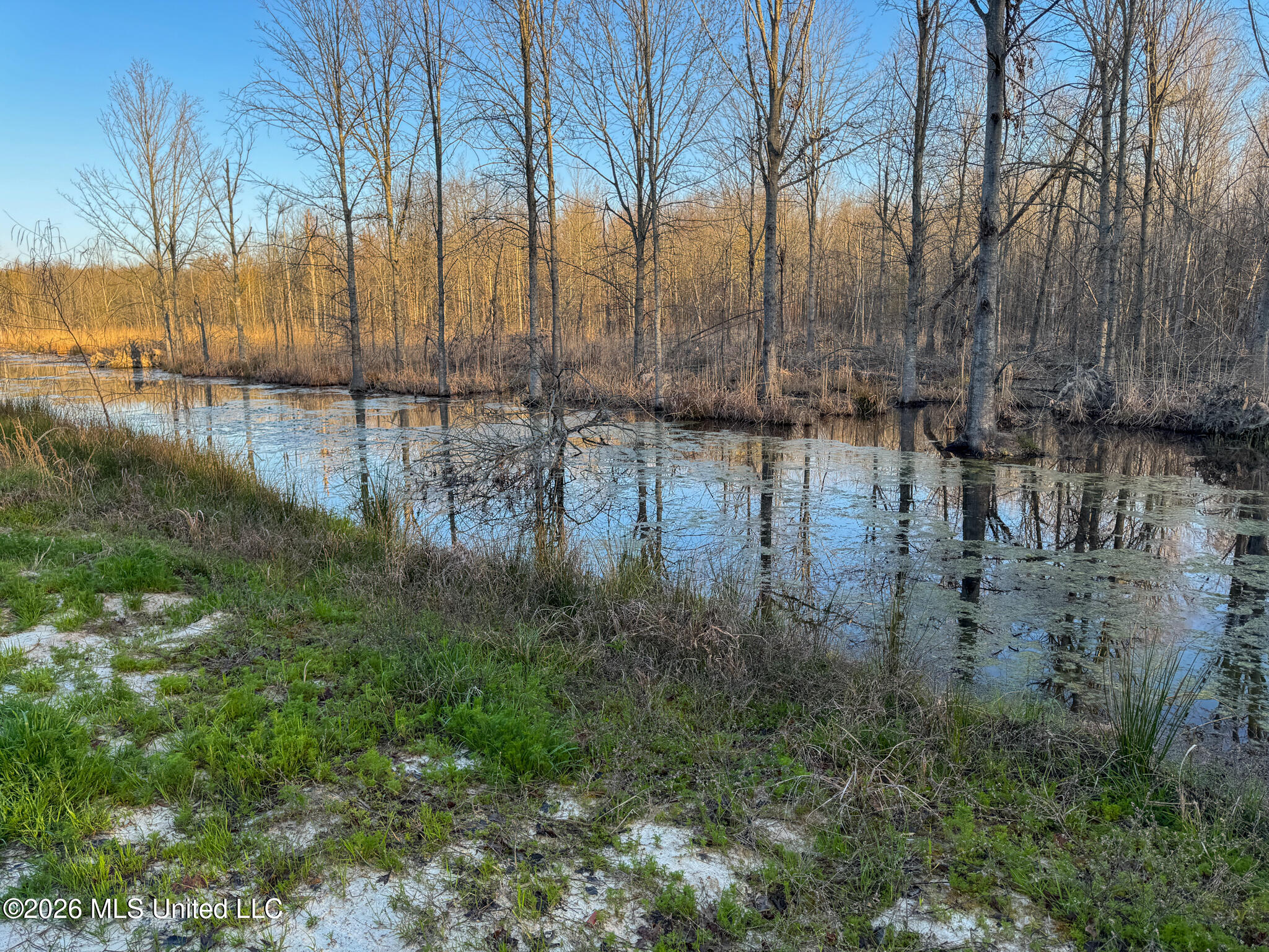 0 Dummyline Road Batesville, MS 38606 - Photo 50 of 73 Panola 164.7 SPI Land Ventures-50