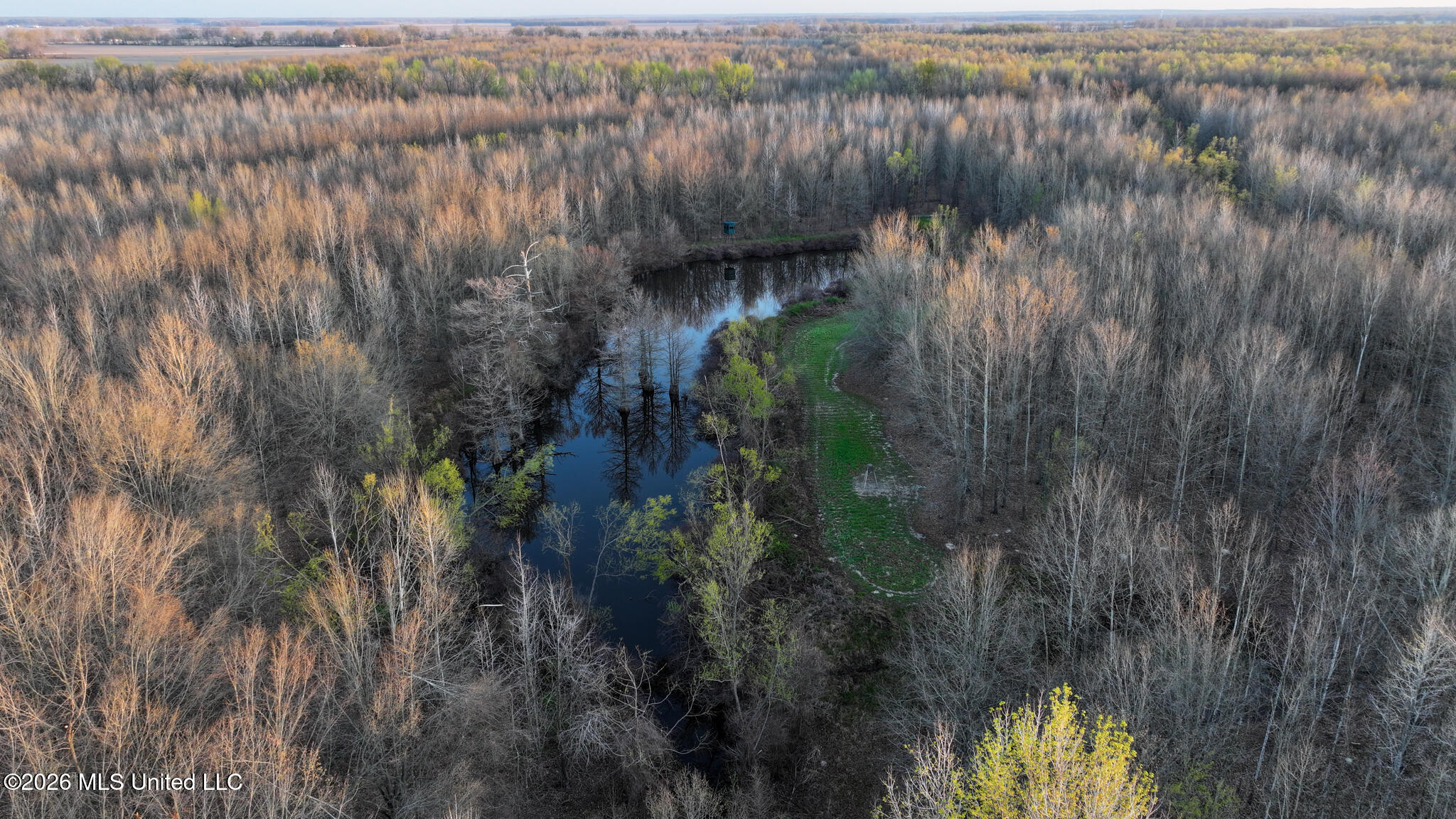 0 Dummyline Road Batesville, MS 38606 - Photo 5 of 73 Panola 164.7 SPI Land Ventures-5