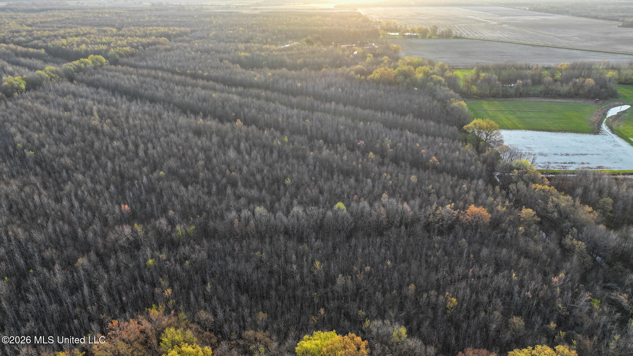 0 Dummyline Road Batesville, MS 38606 - Photo 51 of 73 Panola 164.7 SPI Land Ventures-51