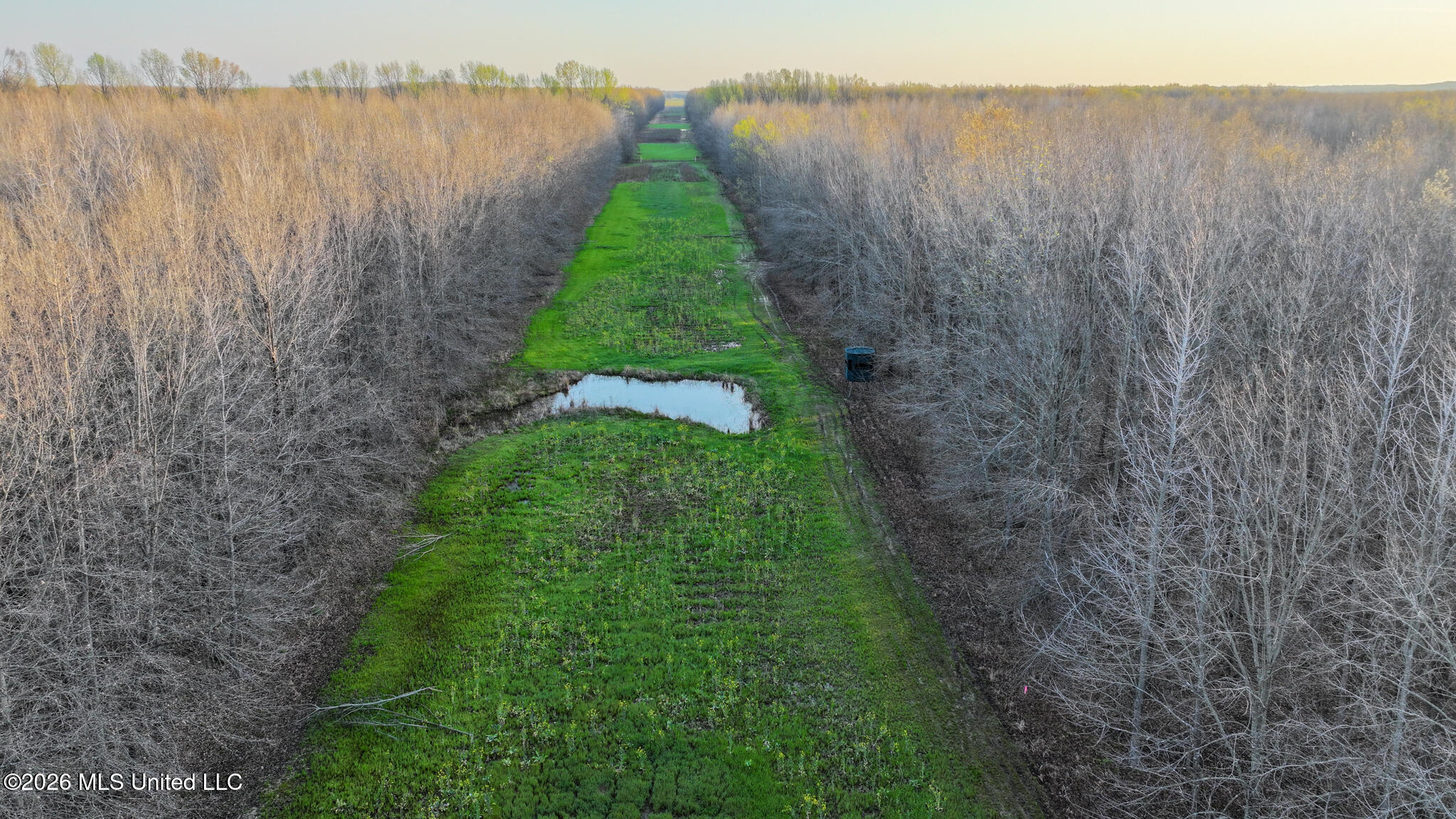 0 Dummyline Road Batesville, MS 38606 - Photo 53 of 73 Panola 164.7 SPI Land Ventures-53
