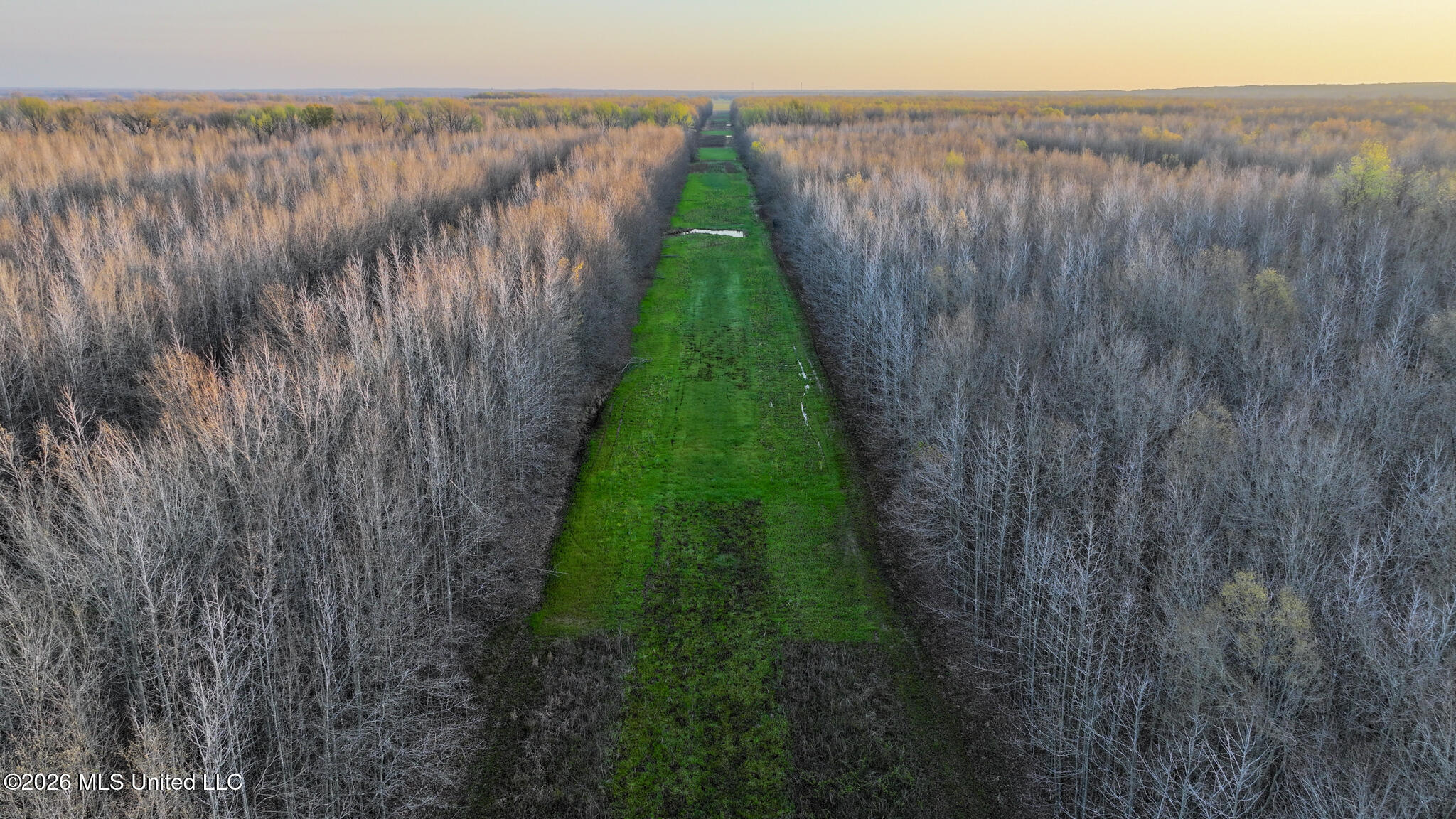 0 Dummyline Road Batesville, MS 38606 - Photo 54 of 73 Panola 164.7 SPI Land Ventures-54