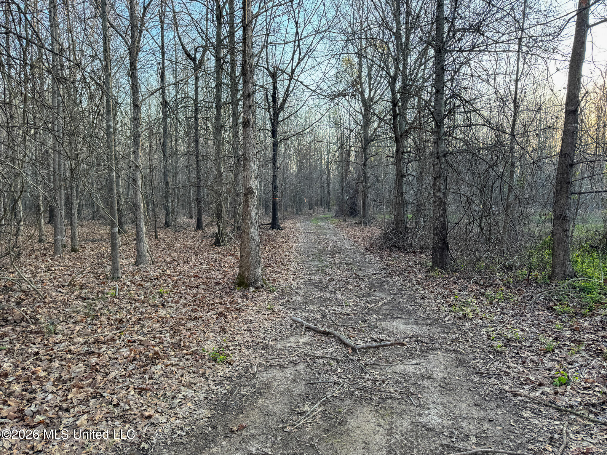 0 Dummyline Road Batesville, MS 38606 - Photo 55 of 73 Panola 164.7 SPI Land Ventures-55