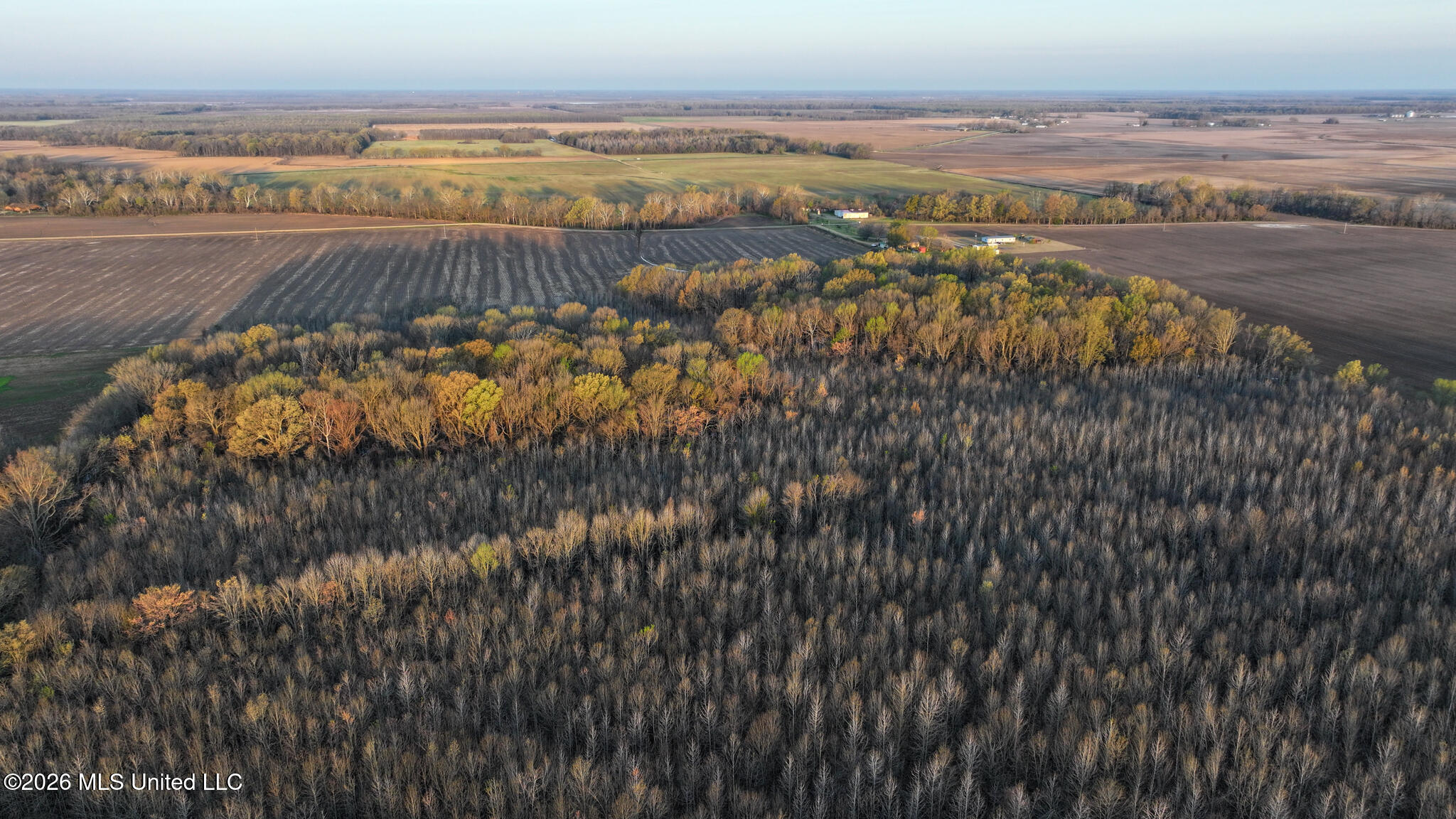 0 Dummyline Road Batesville, MS 38606 - Photo 56 of 73 Panola 164.7 SPI Land Ventures-56