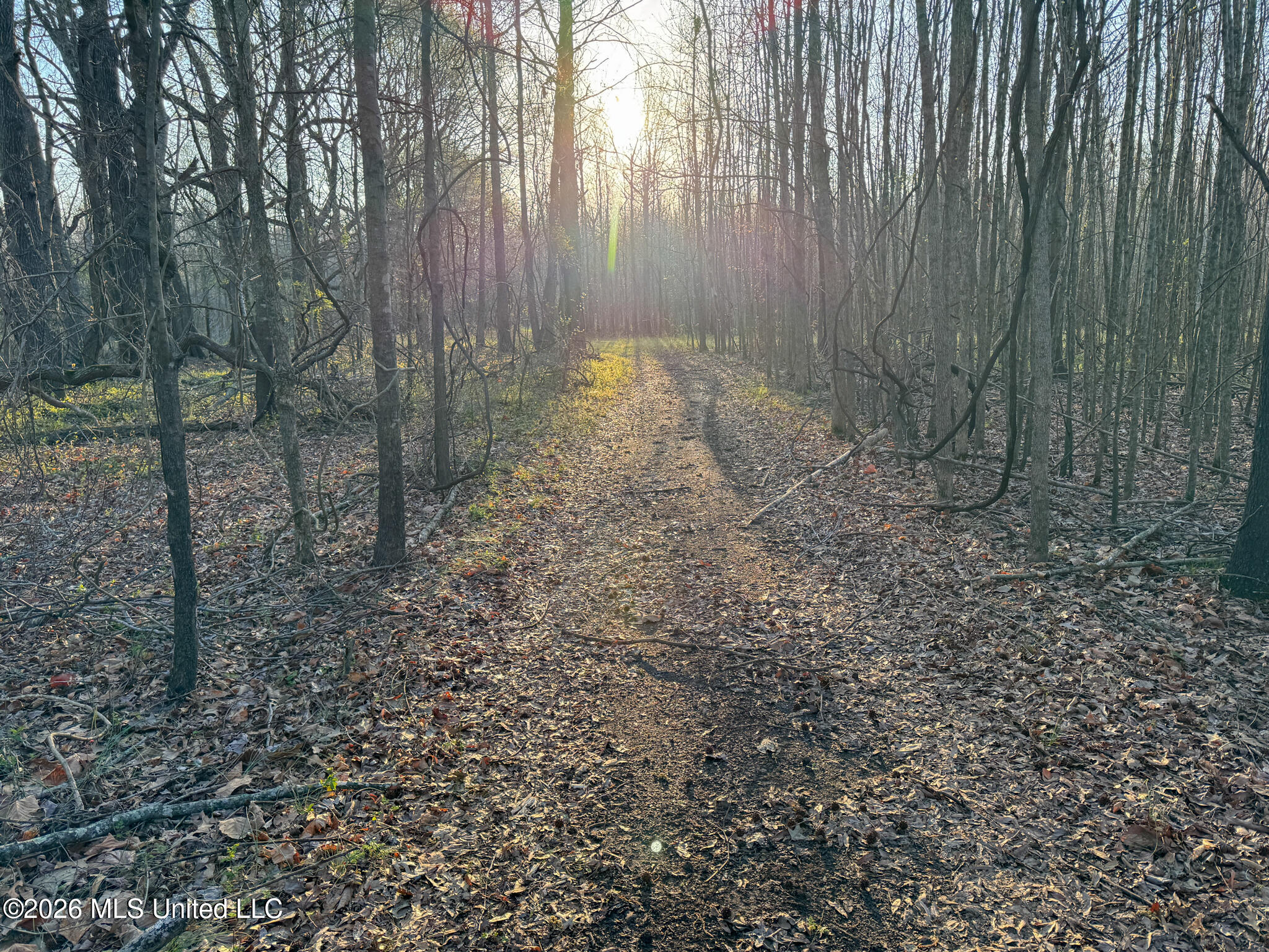 0 Dummyline Road Batesville, MS 38606 - Photo 57 of 73 Panola 164.7 SPI Land Ventures-57