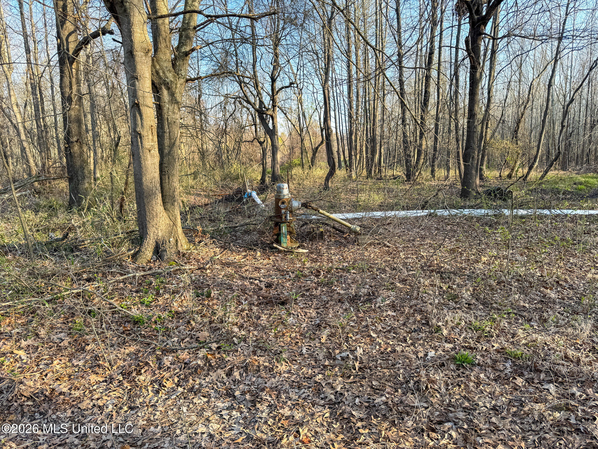 0 Dummyline Road Batesville, MS 38606 - Photo 59 of 73 Panola 164.7 SPI Land Ventures-59