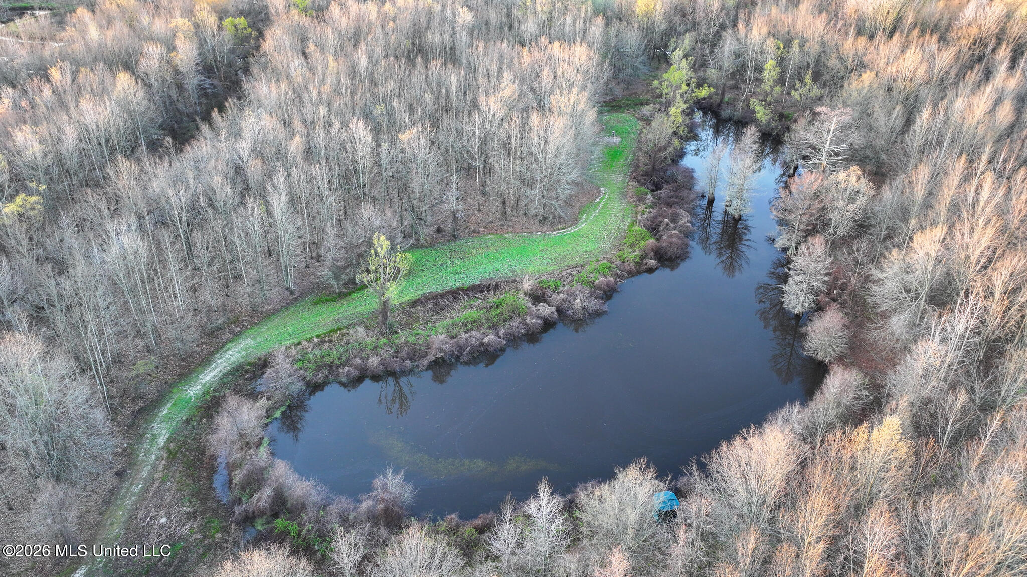 0 Dummyline Road Batesville, MS 38606 - Photo 62 of 73 Panola 164.7 SPI Land Ventures-62