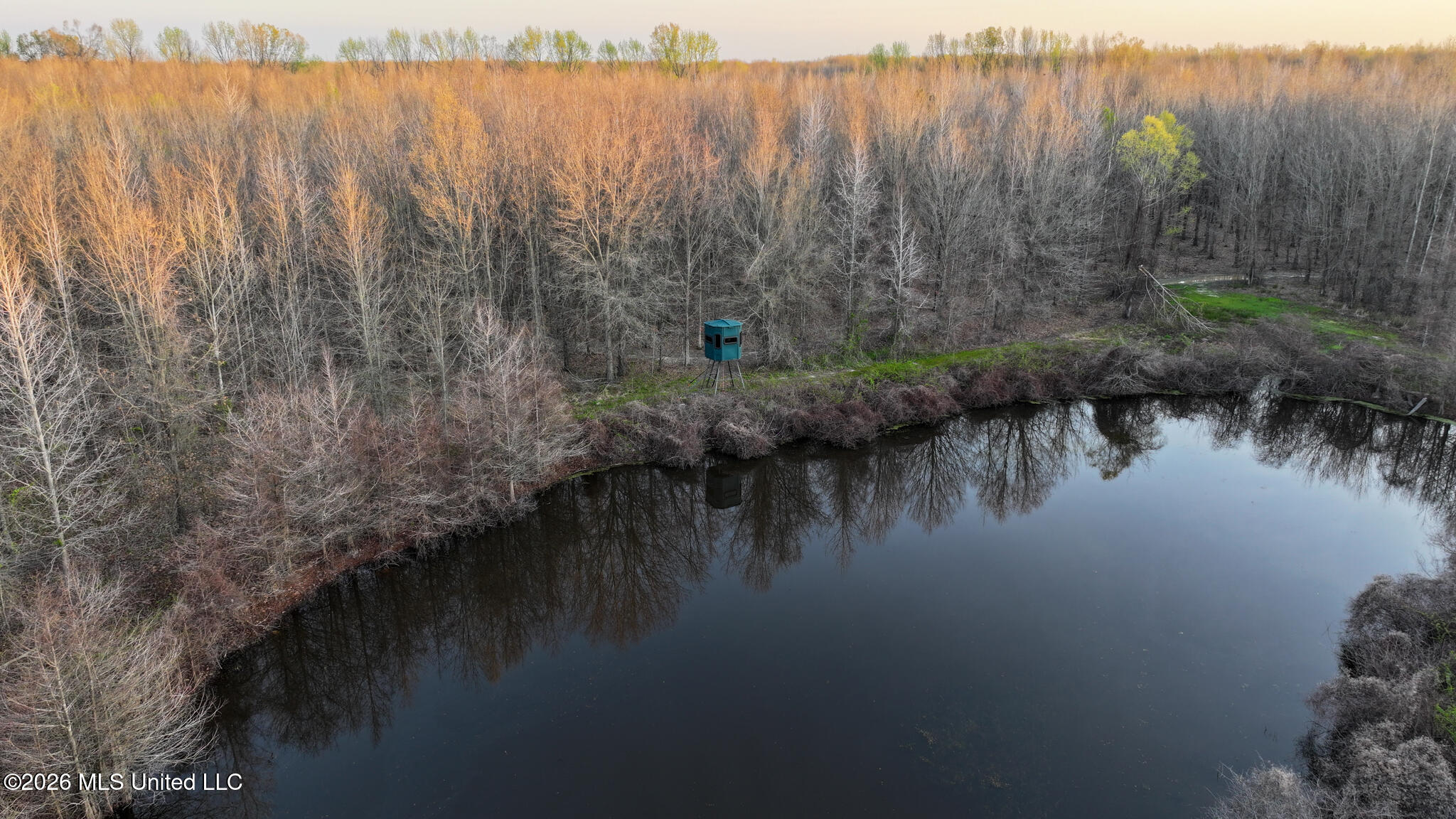 0 Dummyline Road Batesville, MS 38606 - Photo 63 of 73 Panola 164.7 SPI Land Ventures-63