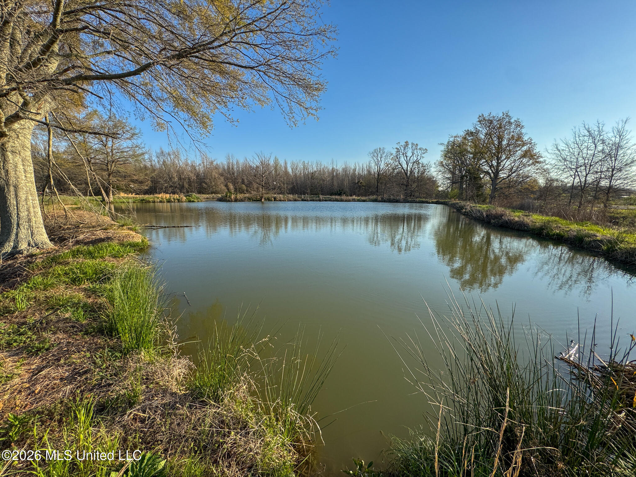 0 Dummyline Road Batesville, MS 38606 - Photo 65 of 73 Panola 164.7 SPI Land Ventures-65