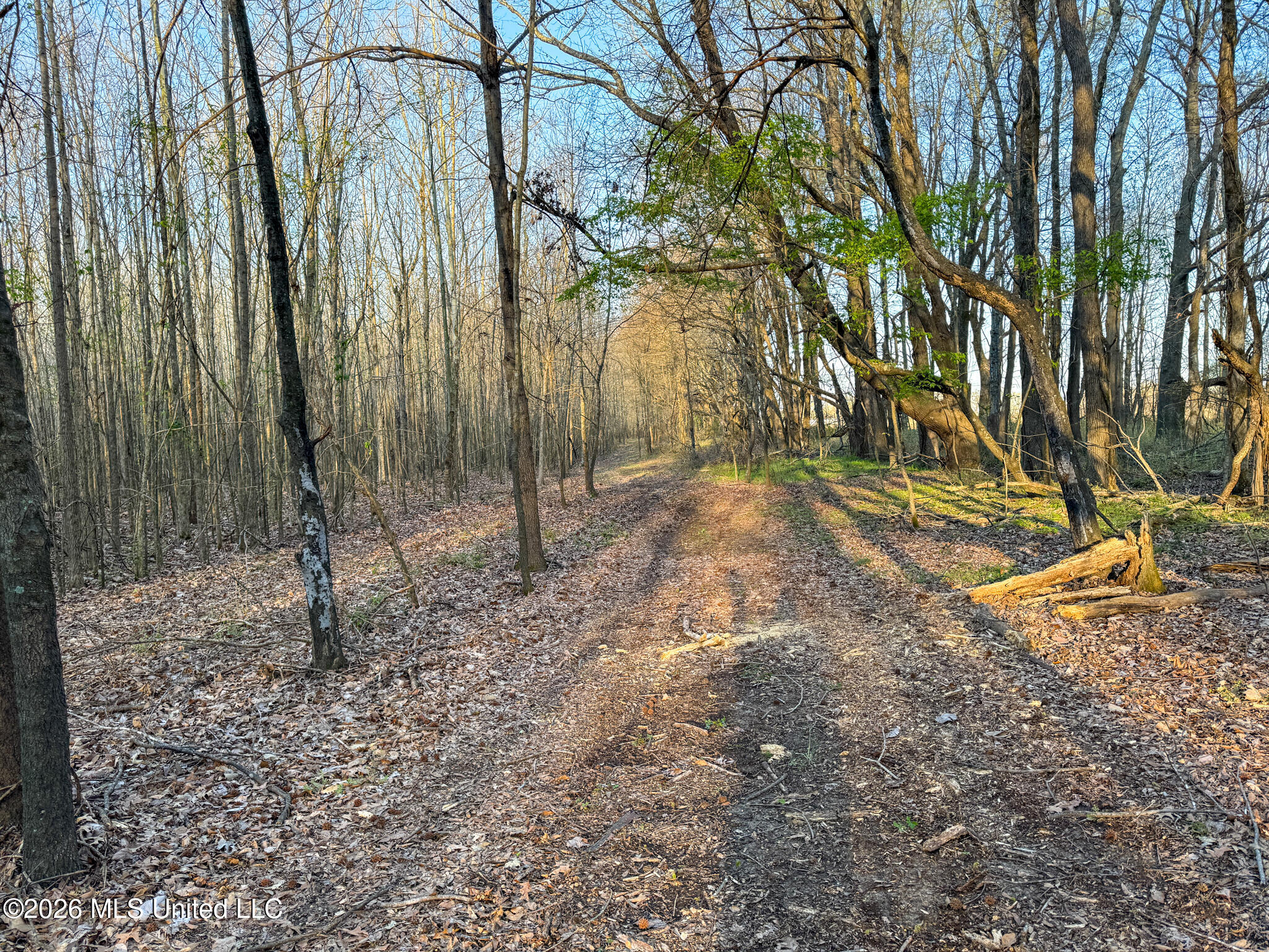 0 Dummyline Road Batesville, MS 38606 - Photo 68 of 73 Panola 164.7 SPI Land Ventures-68