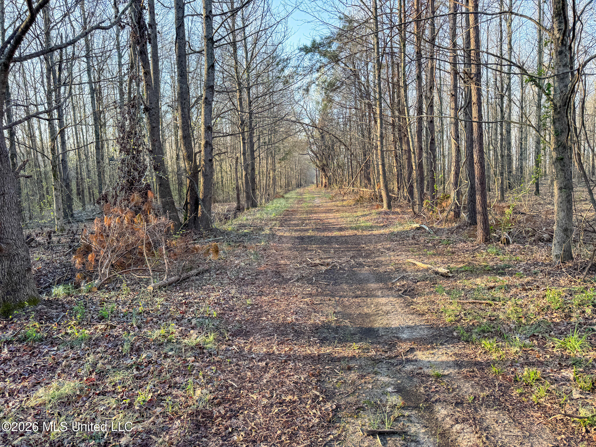 0 Dummyline Road Batesville, MS 38606 - Photo 69 of 73 Panola 164.7 SPI Land Ventures-67