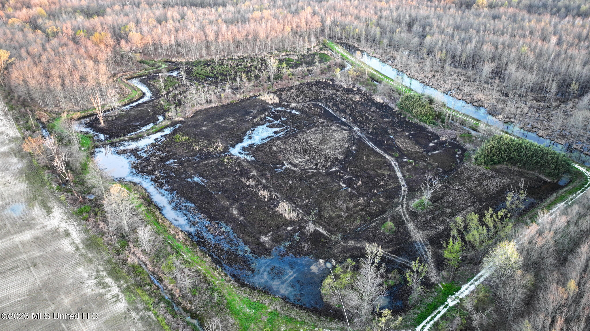 0 Dummyline Road Batesville, MS 38606 - Photo 7 of 73 Panola 164.7 SPI Land Ventures-7